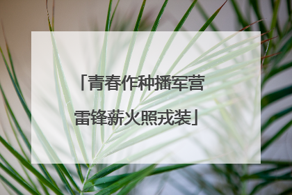 青春作种播军营 雷锋薪火照戎装