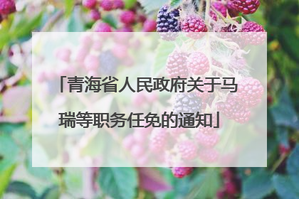 青海省人民政府关于马瑞等职务任免的通知