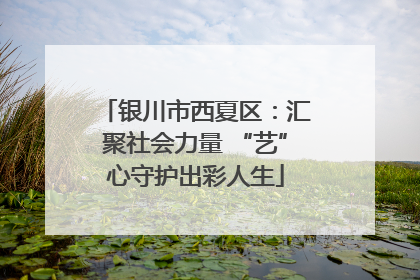 银川市西夏区：汇聚社会力量 “艺”心守护出彩人生