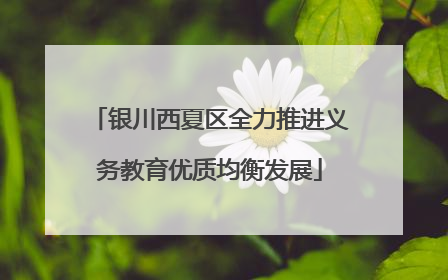 银川西夏区全力推进义务教育优质均衡发展