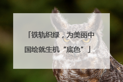 铁轨织绿，为美丽中国绘就生机“底色”