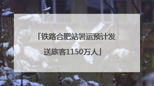 铁路合肥站暑运预计发送旅客1150万人