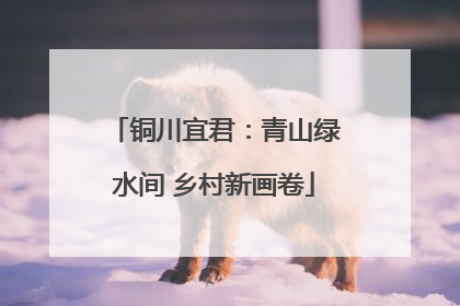 铜川宜君：青山绿水间 乡村新画卷