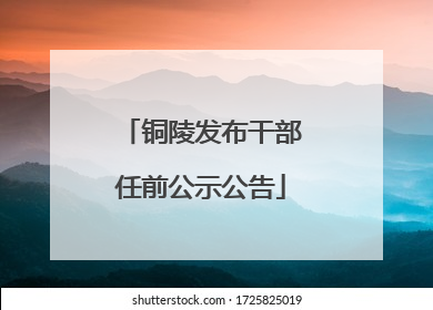 铜陵发布干部任前公示公告