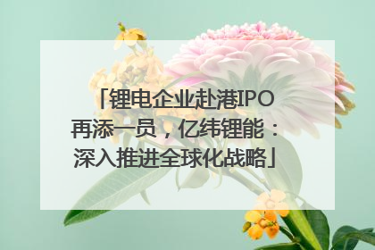锂电企业赴港IPO再添一员，亿纬锂能：深入推进全球化战略