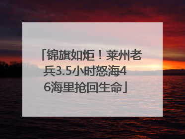 锦旗如炬！莱州老兵3.5小时怒海46海里抢回生命