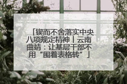 锲而不舍落实中央八项规定精神丨云南曲靖：让基层干部不用“围着表格转”