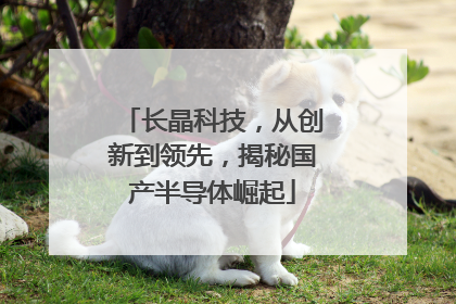 长晶科技，从创新到领先，揭秘国产半导体崛起