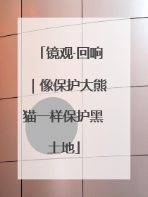 镜观·回响｜像保护大熊猫一样保护黑土地