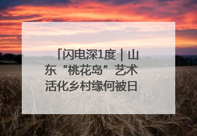 闪电深1度｜山东“桃花岛”艺术活化乡村缘何被日本友人推介？