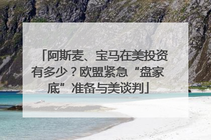 阿斯麦、宝马在美投资有多少？欧盟紧急“盘家底”准备与美谈判