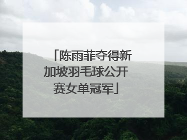 陈雨菲夺得新加坡羽毛球公开赛女单冠军