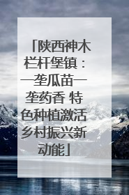 陕西神木栏杆堡镇：一垄瓜苗一垄药香 特色种植激活乡村振兴新动能