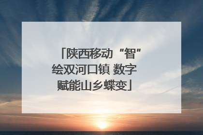 陕西移动“智”绘双河口镇 数字赋能山乡蝶变