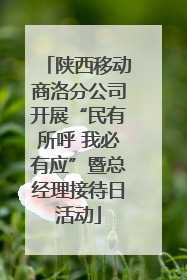 陕西移动商洛分公司开展“民有所呼 我必有应”暨总经理接待日活动