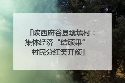 陕西府谷县埝墕村：集体经济“结硕果” 村民分红笑开颜