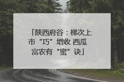 陕西府谷：梯次上市“巧”增收 西瓜富农有“蜜”诀