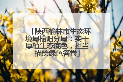 陕西榆林市生态环境局榆阳分局：实干厚植生态底色，担当描绘绿色答卷