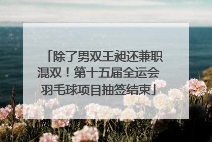 除了男双王昶还兼职混双！第十五届全运会羽毛球项目抽签结束