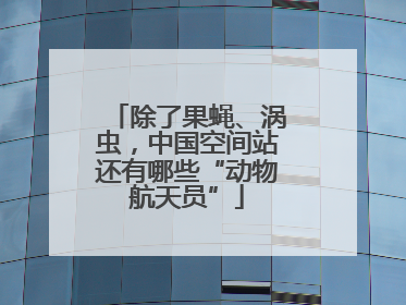 除了果蝇、涡虫，中国空间站还有哪些“动物航天员”