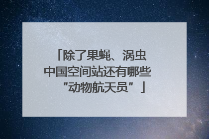 除了果蝇、涡虫 中国空间站还有哪些“动物航天员”
