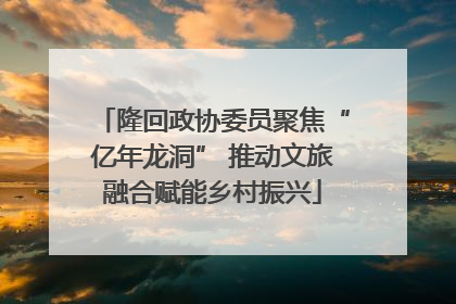 隆回政协委员聚焦“亿年龙洞” 推动文旅融合赋能乡村振兴