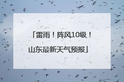 雷雨！阵风10级！山东最新天气预报