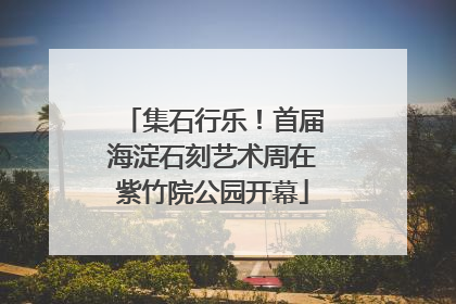 集石行乐！首届海淀石刻艺术周在紫竹院公园开幕