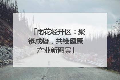 雨花经开区：聚链成势，共绘健康产业新图景