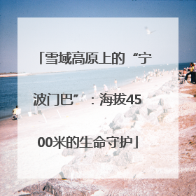 雪域高原上的“宁波门巴”：海拔4500米的生命守护