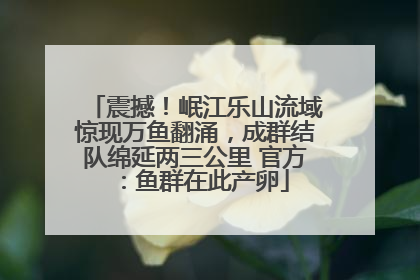 震撼！岷江乐山流域惊现万鱼翻涌，成群结队绵延两三公里 官方：鱼群在此产卵