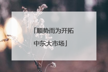 顺势而为开拓中东大市场