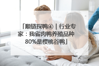 顺链探鸭④｜行业专家：我省肉鸭养殖品种80%是樱桃谷鸭