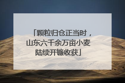 颗粒归仓正当时，山东六千余万亩小麦陆续开镰收获