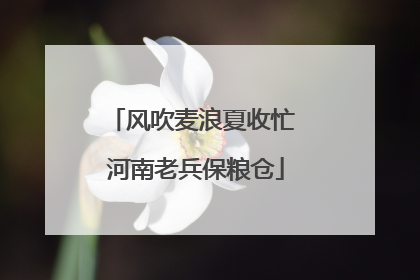 风吹麦浪夏收忙 河南老兵保粮仓