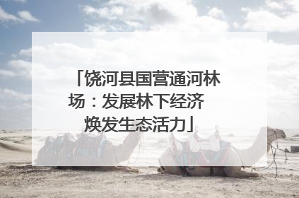 饶河县国营通河林场：发展林下经济 焕发生态活力