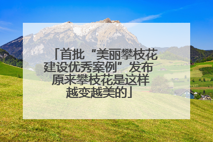 首批“美丽攀枝花建设优秀案例”发布 原来攀枝花是这样越变越美的