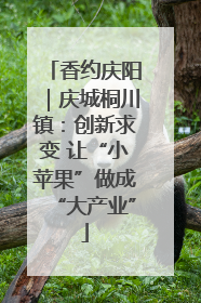 香约庆阳｜庆城桐川镇：创新求变 让“小苹果”做成“大产业”