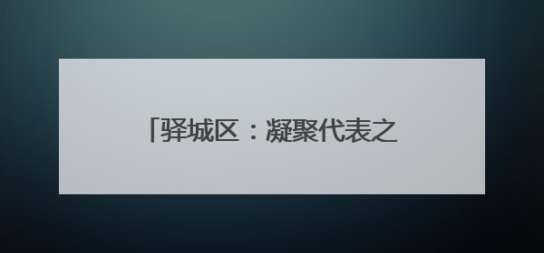 驿城区：凝聚代表之力 办好惠民实事