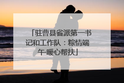 驻曹县省派第一书记和工作队：粽情端午·暖心帮扶
