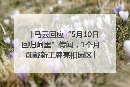 马云回应“5月10日回归阿里”传闻，1个月前戴新工牌亮相园区
