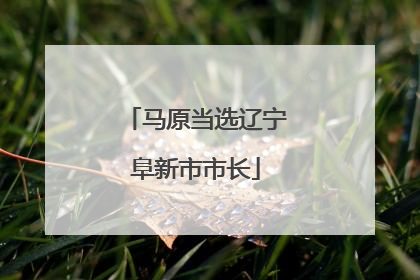 马原当选辽宁阜新市市长