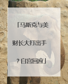 马斯克与美财长大打出手？白宫回应