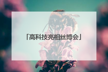 高科技亮相丝博会
