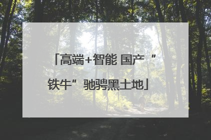 高端+智能 国产“铁牛”驰骋黑土地