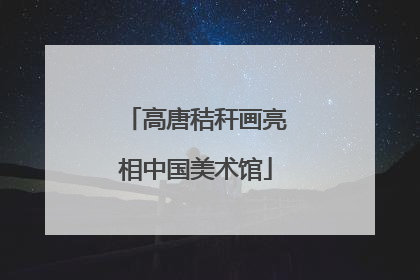 高唐秸秆画亮相中国美术馆
