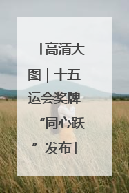 高清大图｜十五运会奖牌“同心跃”发布