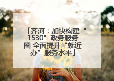 齐河：加快构建“1530”政务服务圈 全面提升“就近办”服务水平