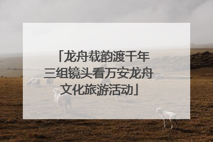 龙舟载韵渡千年 三组镜头看万安龙舟文化旅游活动