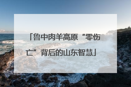 鲁中肉羊高原“零伤亡”背后的山东智慧